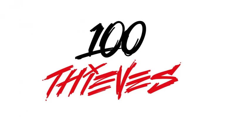 100-thieves16