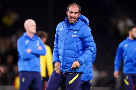 Tottenham assistant Cristian Stellini
