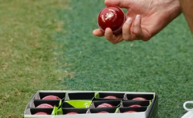 Kookaburra cricket balls.