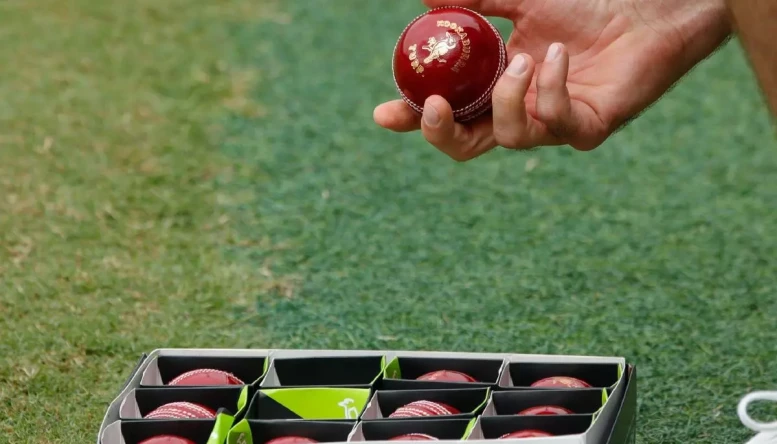 Kookaburra cricket balls.