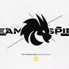team-spirit-logo16