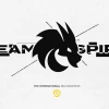 Team Spirit